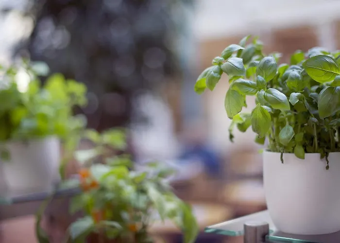 Western Bakeriet Hotel