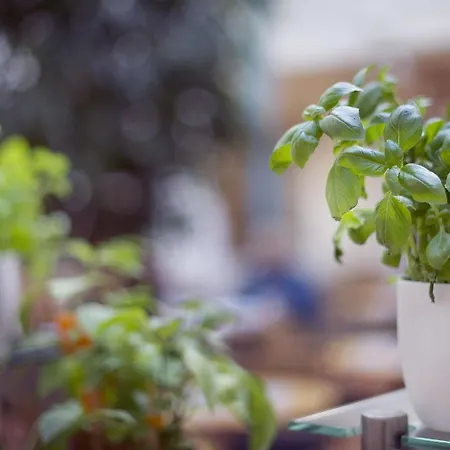 Western Bakeriet فندق